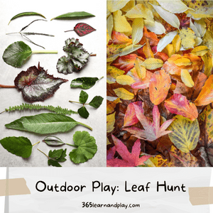 Outdoor Play: Leaf Hunt with pictures of all types of leaves