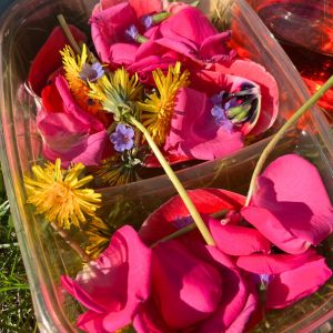 Spring play ideas - petal potions with flower petals - pink roses and tulips with dandelions